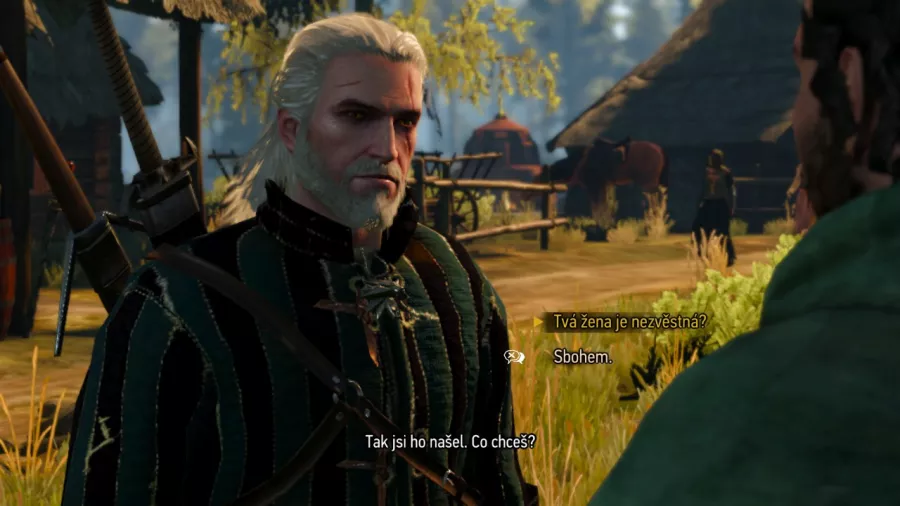 The Witcher 3 Nintendo Switch recenzia screenshot 6
