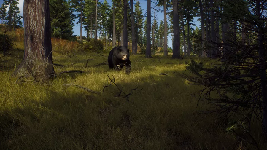 Way-of-the-Hunter-Screenshot-02-scaled