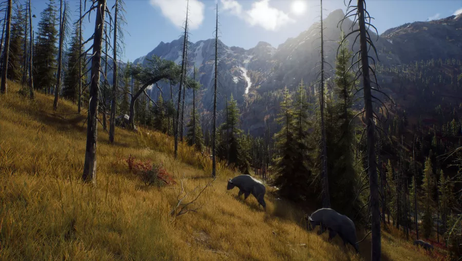 Way-of-the-Hunter-Screenshot-04-scaled