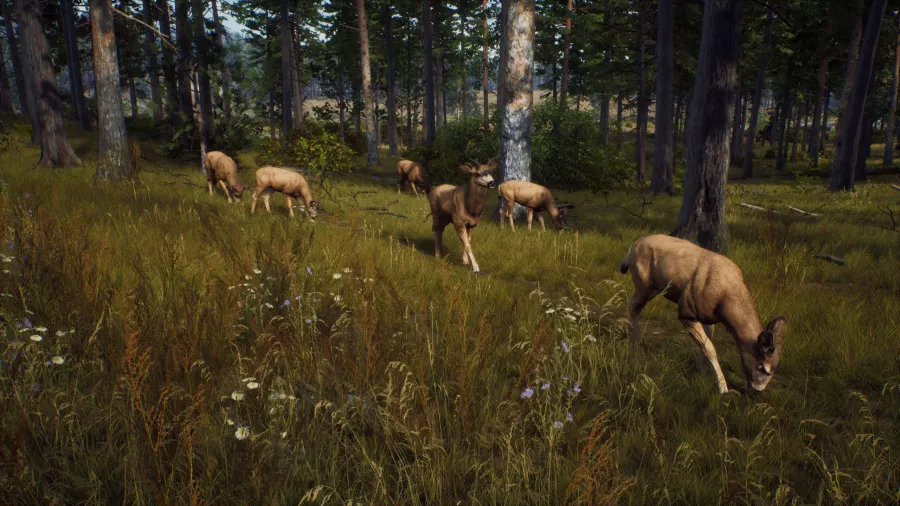 Way-of-the-Hunter-Screenshot-05-scaled