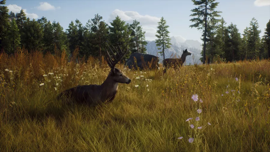 Way-of-the-Hunter-Screenshot-06-scaled