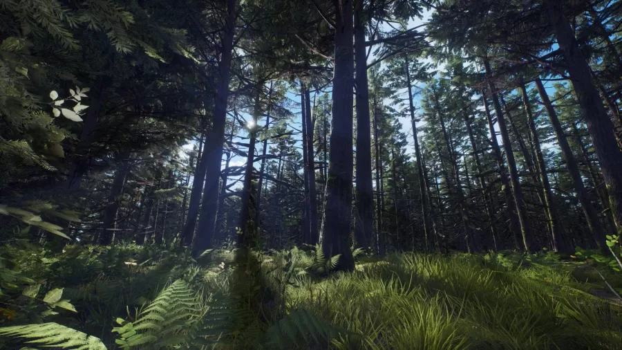 Way_of_the_Hunter_Aurora_Shores3