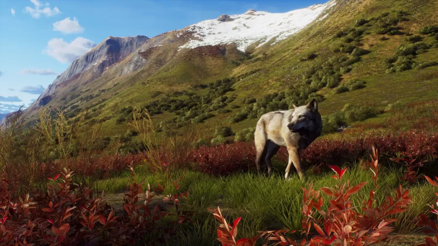 Way_of_the_Hunter_Aurora_Shores5