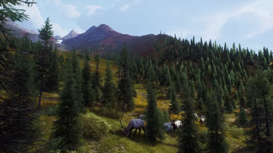 Way_of_the_Hunter_Aurora_Shores8