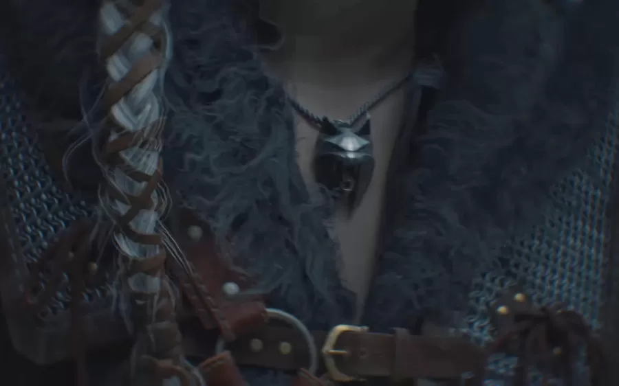 The Witcher Ciri Lynx School