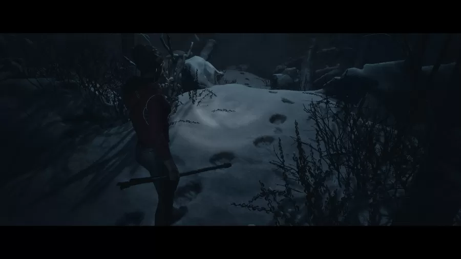 1926db3b67d23-screenshotUrl