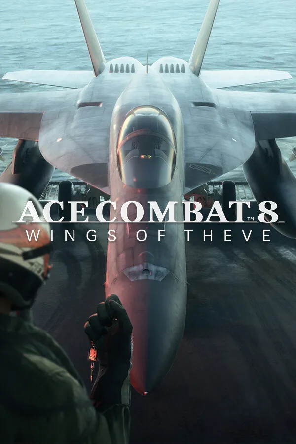 Box-art pre Ace Combat 8: Wings Of Theve