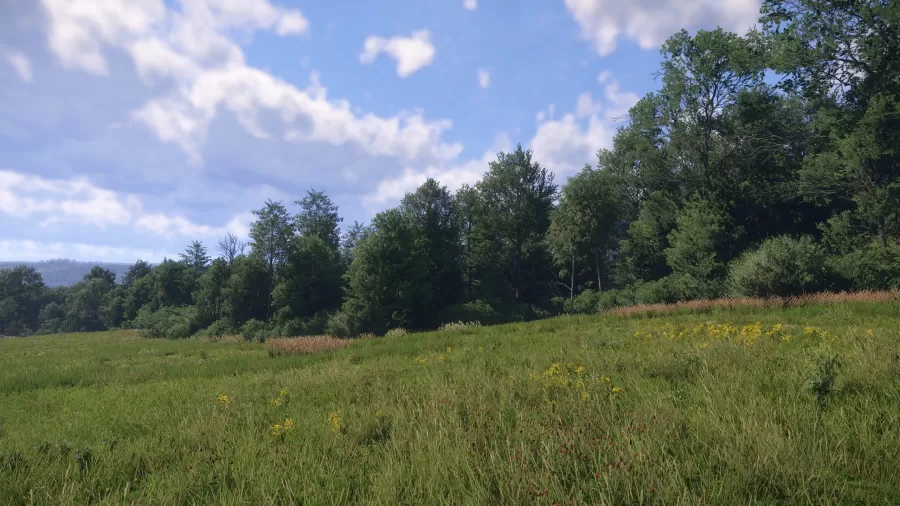 Kingdom Come Deliverance 2 Screenshot 23