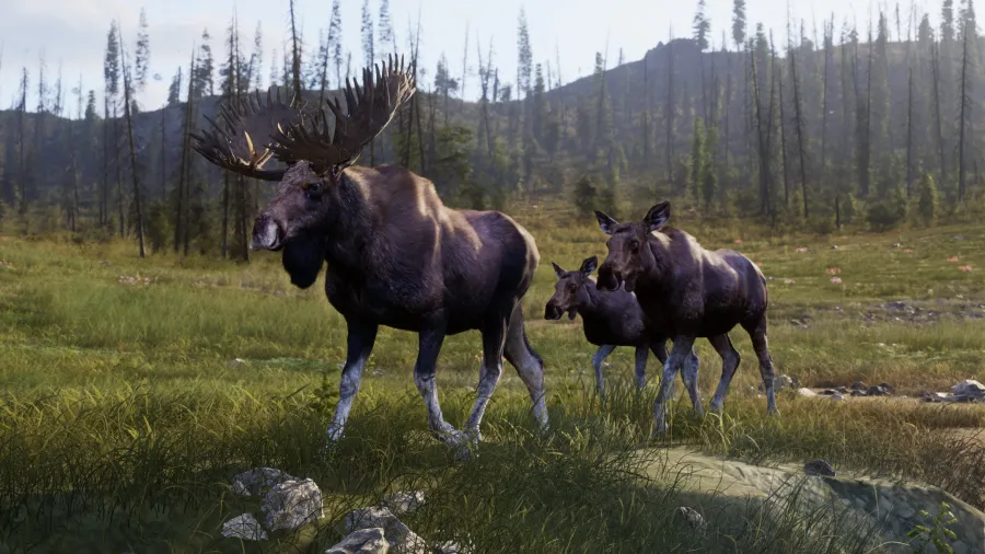 Way of the Hunter 2 Screenshot 05