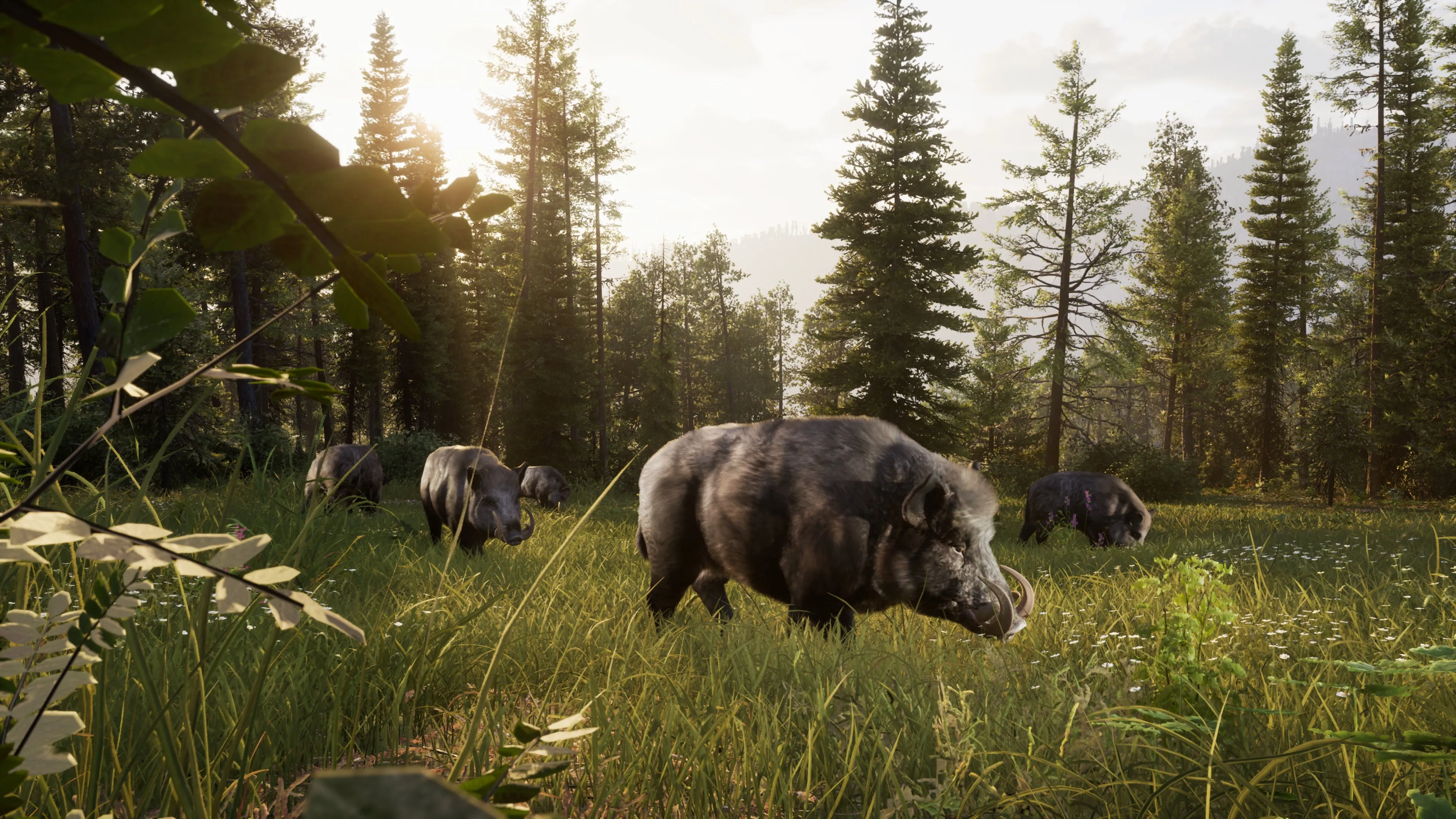 Way of the Hunter 2 Screenshot 07