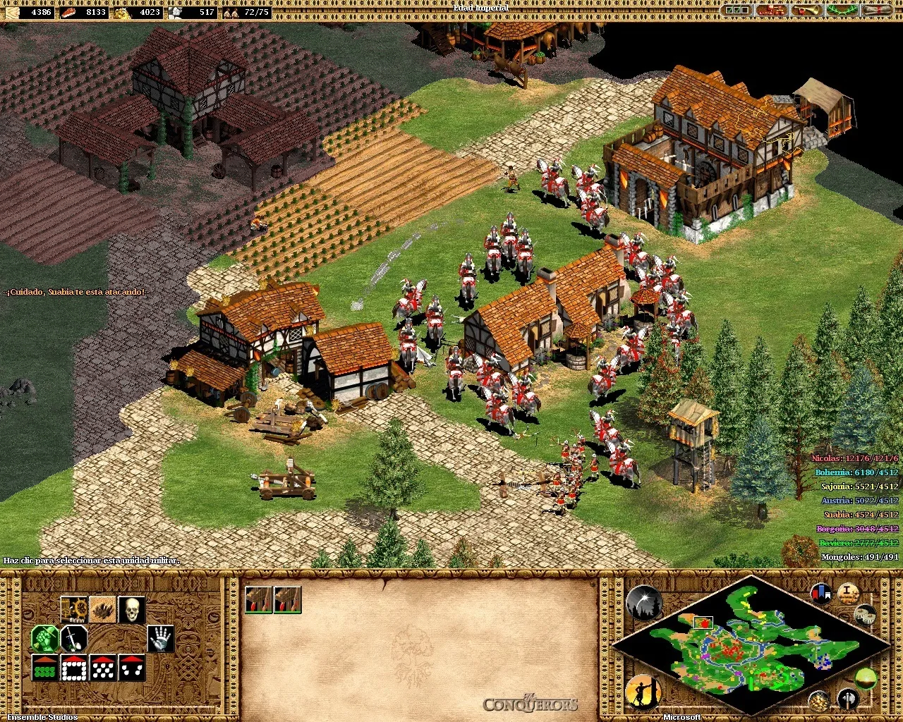 Age of Empires 2